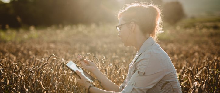 como fazer para crescer a produção